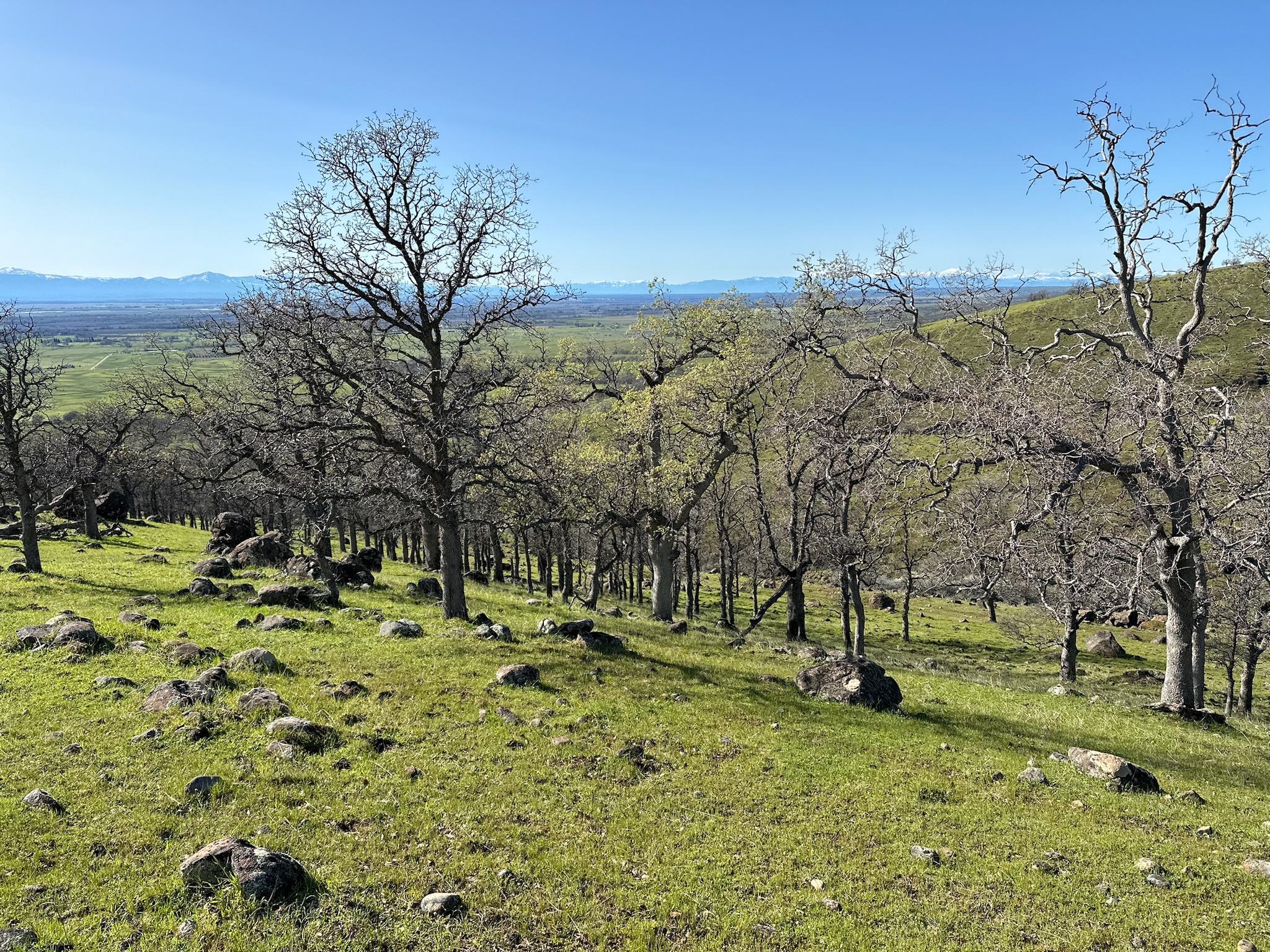 CAMPING Dye Creek Archery Shoot