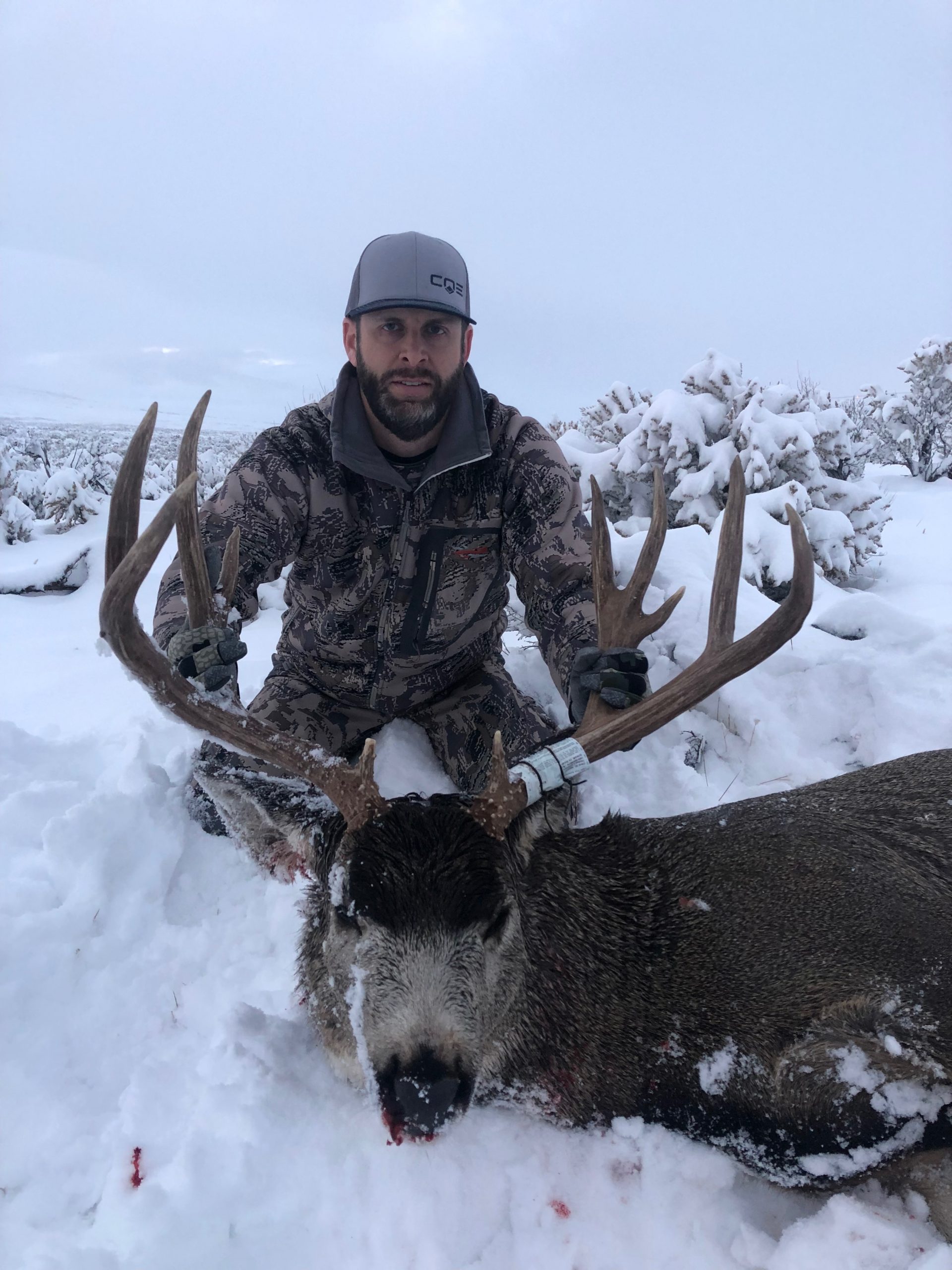 Nevada Non Resident Mule Deer Guides Draw Deposit